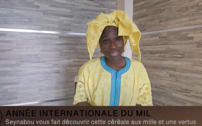 Seynabou Amy Ka – ambassadrice de bonne volonté –  La promotion  du mil dans le cadre de l&rsquo; année internationale du Mil