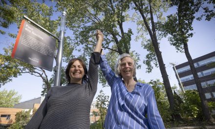 La vie, la ville | Ces citoyens qui font naître des parcs