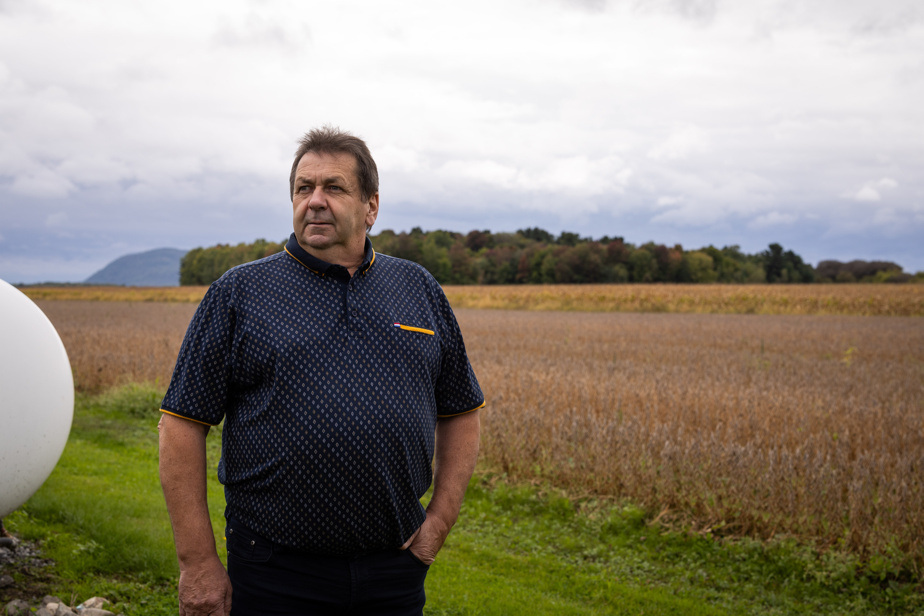 Montérégie | Une souche de 3775 ans découverte à Saint-Pie