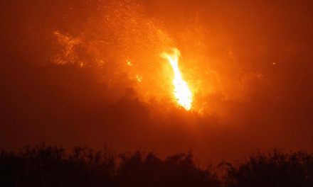 Le Brésil n’en finit plus de lutter contre les incendies
