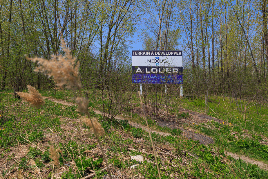 Technoparc | Montréal achète un terrain à 30 millions pour la protection des milieux naturels
