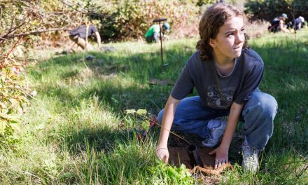 Combattre la crise environnementale par l’action