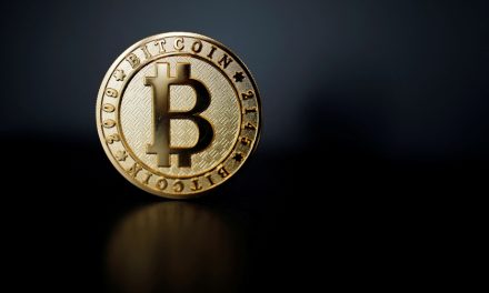 Le bitcoin dépasse 95 000 dollars pour la première fois