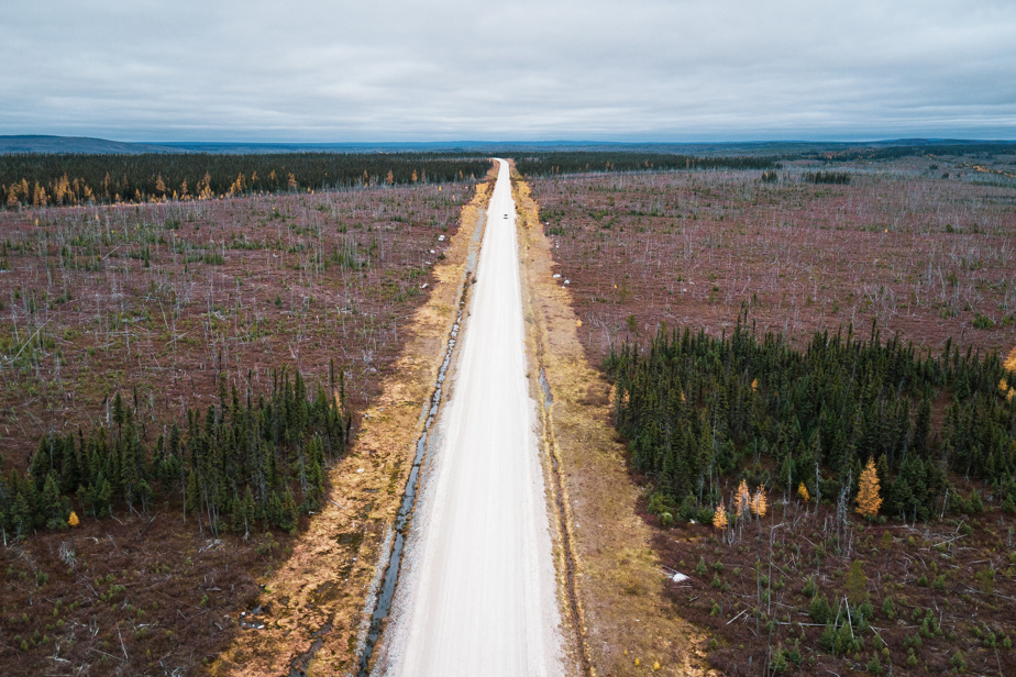 La Presse en Jamésie | La route à 300 millions vers nulle part