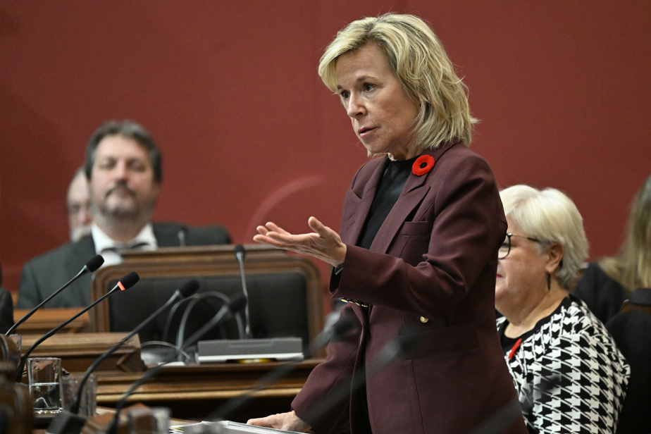 Accès à l’avortement | Québec promet de nouveaux points de services et une pilule abortive plus accessible