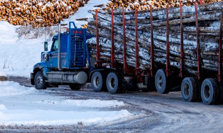 Réforme du régime forestier | On se fait passer un sapin