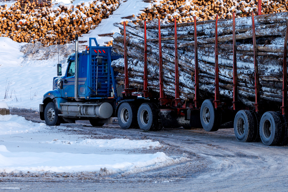 Réforme du régime forestier | On se fait passer un sapin