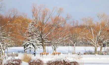 De 10 à 15 centimètres de neige attendus sur le sud du Québec