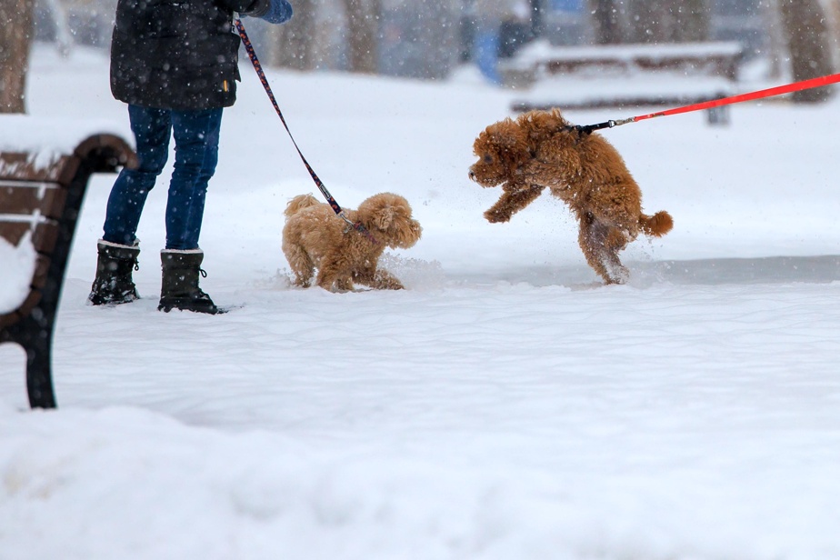 Une vague de froid glacial va frapper le Québec dans les prochains jours