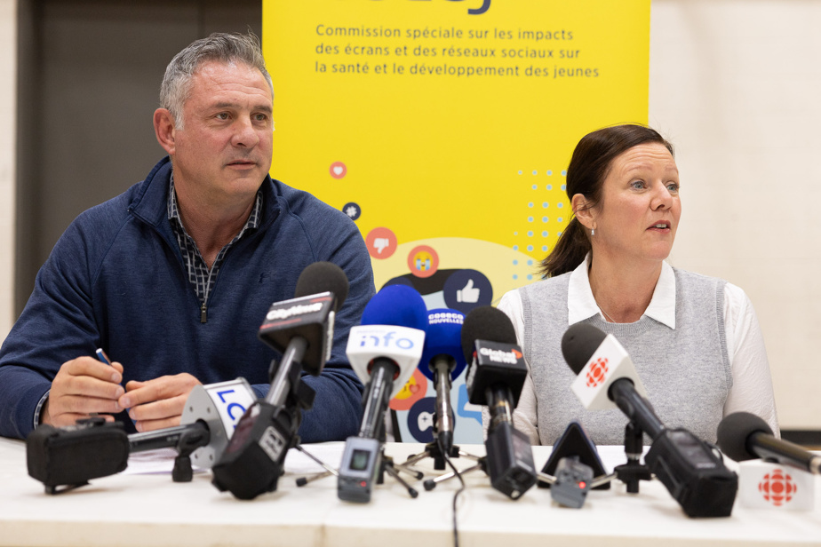 Commission parlementaire | Les pratiques questionnables des jeux vidéo envers les jeunes seront scrutées