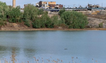 Rouyn-Noranda | Le projet de mine sous la Fonderie Horne « n’est pas acceptable », juge le BAPE