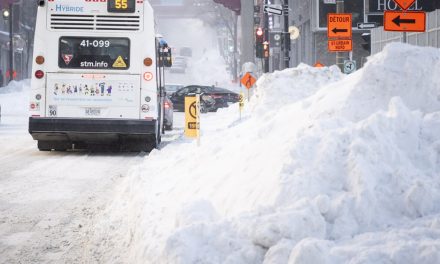 Tempête hivernale | Un lot de défis pour les chauffeurs d’autobus