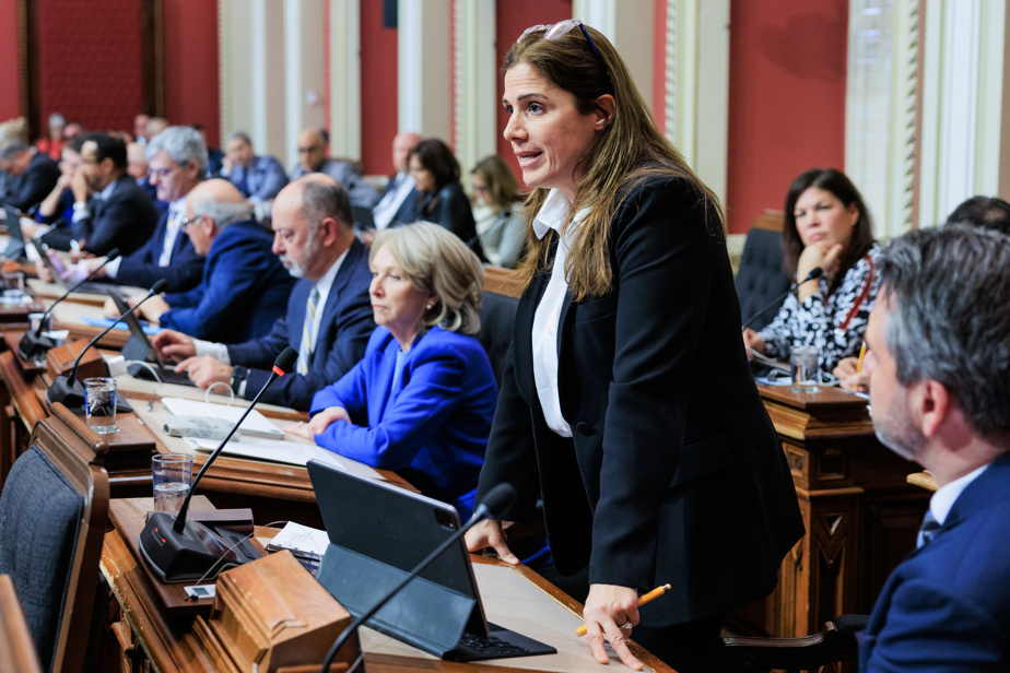 Collège Dawson | La ministre Pascale Déry admet s’être mêlée du contenu d’un cours sur la Palestine