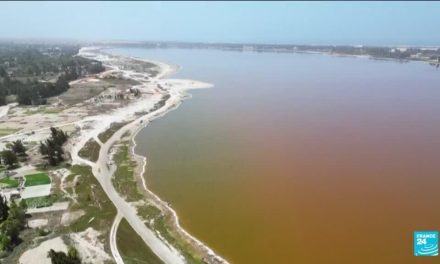 Au Sénégal, le lac Rose retrouve sa couleur mythique