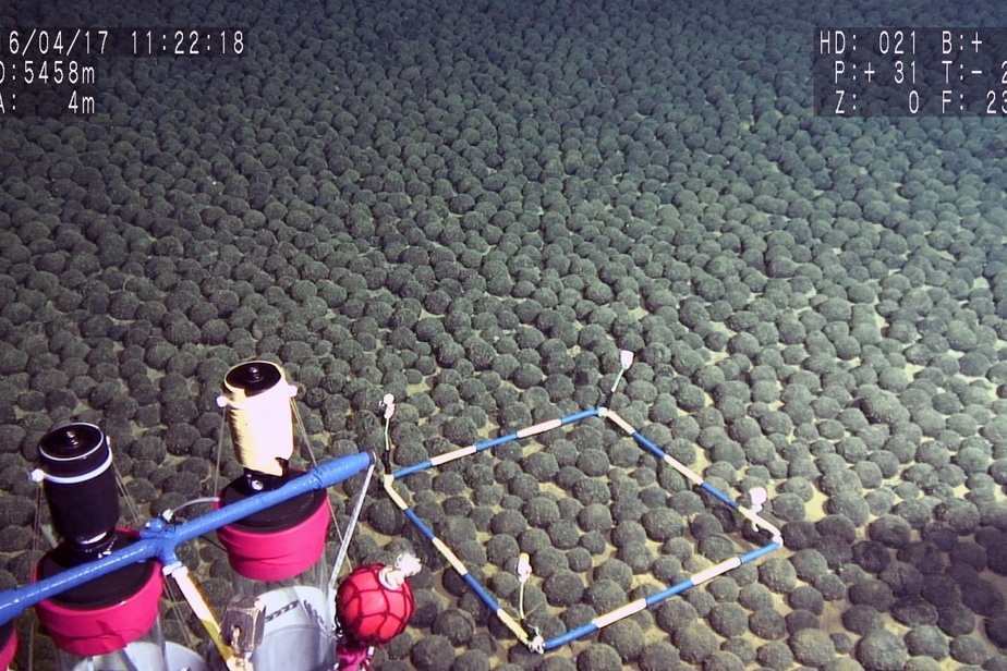 Fonds océaniques | Trump veut ouvrir l’extraction minière sous-marine, y compris en eaux internationales