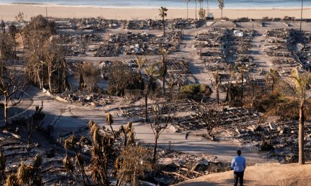 Incendies de forêt à Los Angeles | Près de trois mois après, les autorités annoncent un bilan de 30 morts