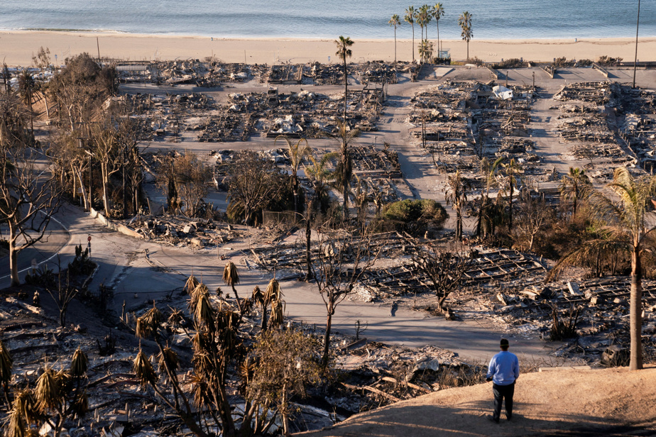 Incendies de forêt à Los Angeles | Près de trois mois après, les autorités annoncent un bilan de 30 morts