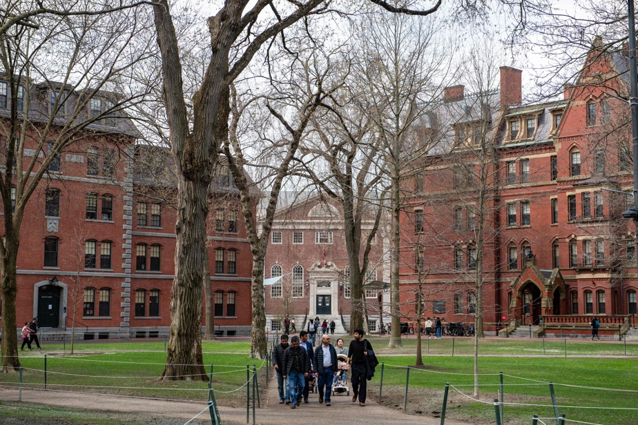 | L’administration Trump veut mettre fin aux contrats accordés à Harvard