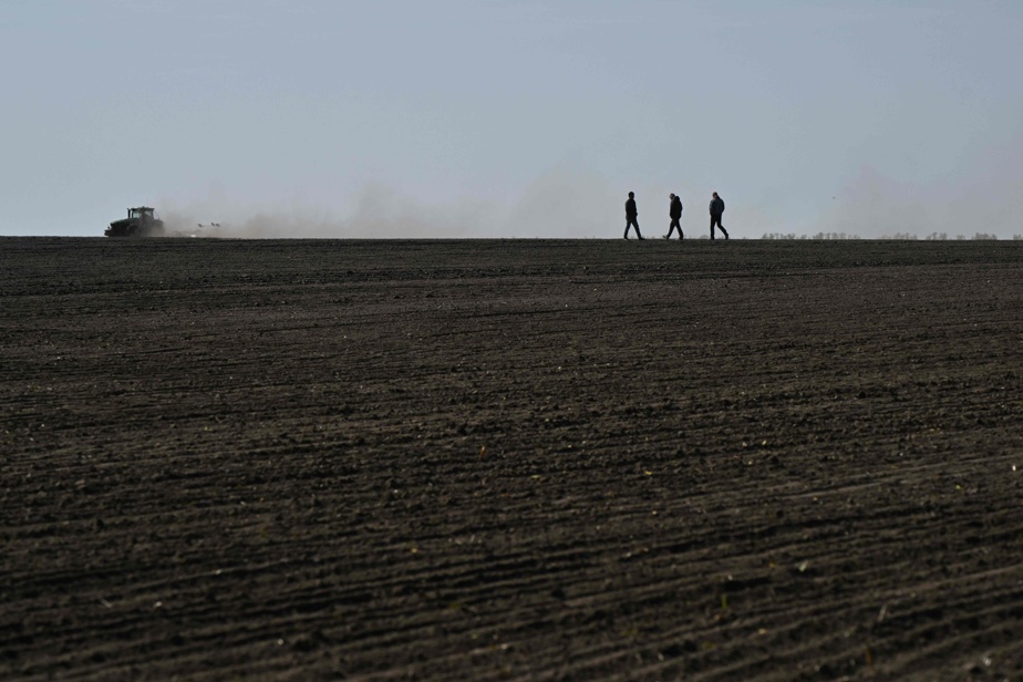 Guerre en Ukraine | Moscou vise délibérément les infrastructures agricoles, affirme un rapport