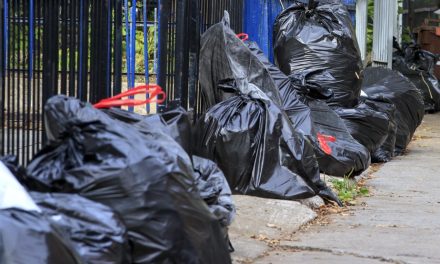 Poubelles à la rue le mauvais jour | Montréal envisage de sanctionner les propriétaires d’immeubles