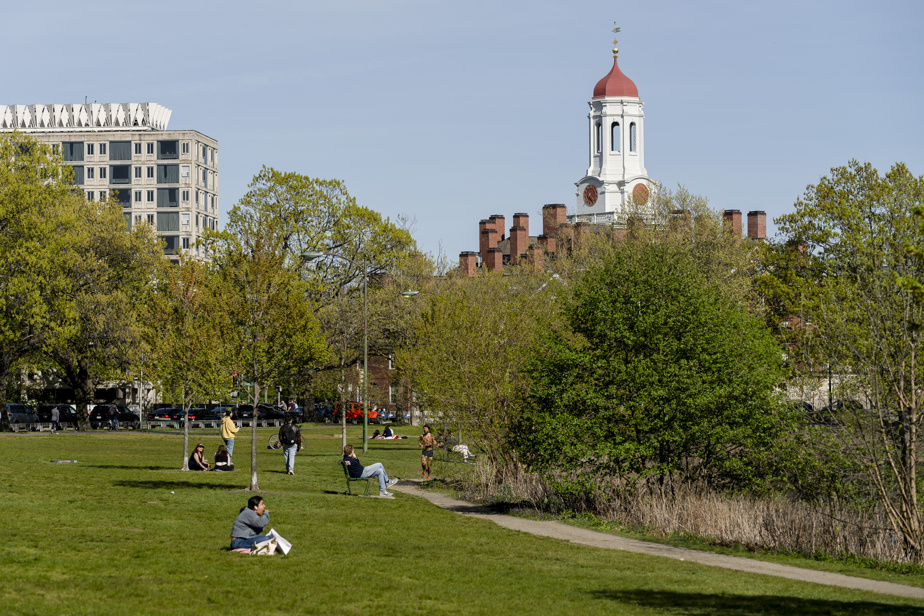 Université Harvard | Des étudiants québécois pourraient voir leur rêve brisé