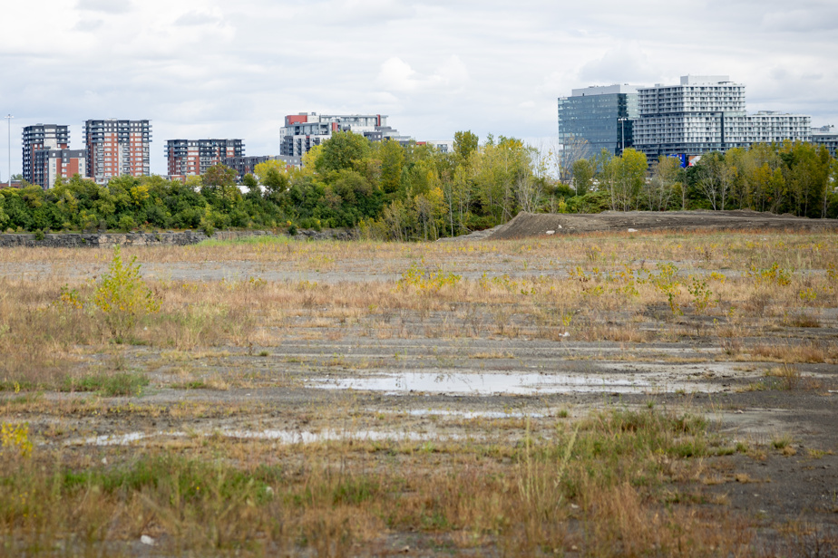 Grands projets dans la région de Montréal | Il faut accélérer la cadence, plaide l’industrie de l’habitation