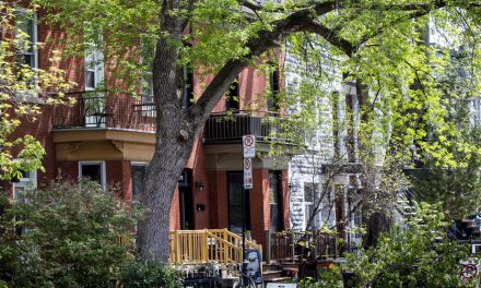 Montréal veut doubler les hauteurs dans les quartiers centraux