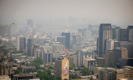 Smog causé par les incendies de forêt | « Une ambiance de fin du monde »