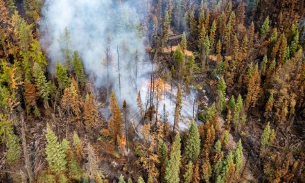 Feux de forêt | L’armée canadienne envoyée en renfort dans le nord-ouest de l’Ontario