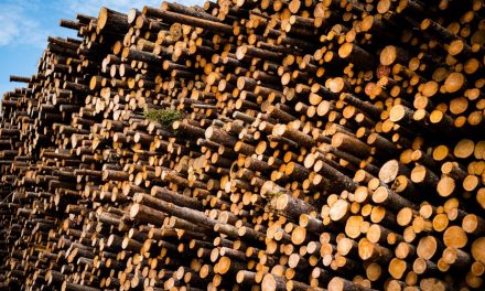 Industrie forestière | Rémabec licencie l’ensemble de ses employés