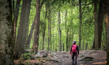 Vélo, marche et kayak | Toronto sauvage