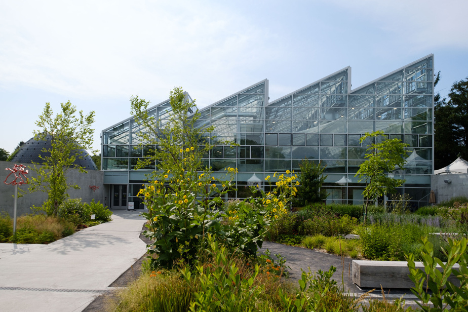 La Ville réclame 3,8 millions aux concepteurs | Les problèmes s’accumulent à l'Insectarium
