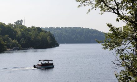 Bandes riveraines à Saint-Hippolyte | Bras de fer au bord de l’eau