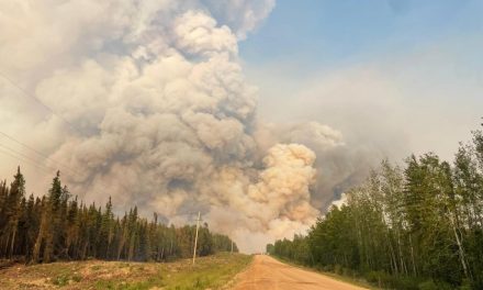 Incendies de forêt | Encore 1100 personnes déplacées en Saskatchewan