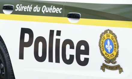 Montérégie | Des migrants clandestins prennent la fuite après une collision