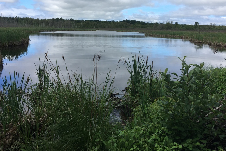 Travaux dans une réserve naturelle | Un village beauceron dans la mire du ministère de l’Environnement