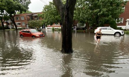 Inondations à Montréal | Des sinistrés ciblés par de faux avis municipaux