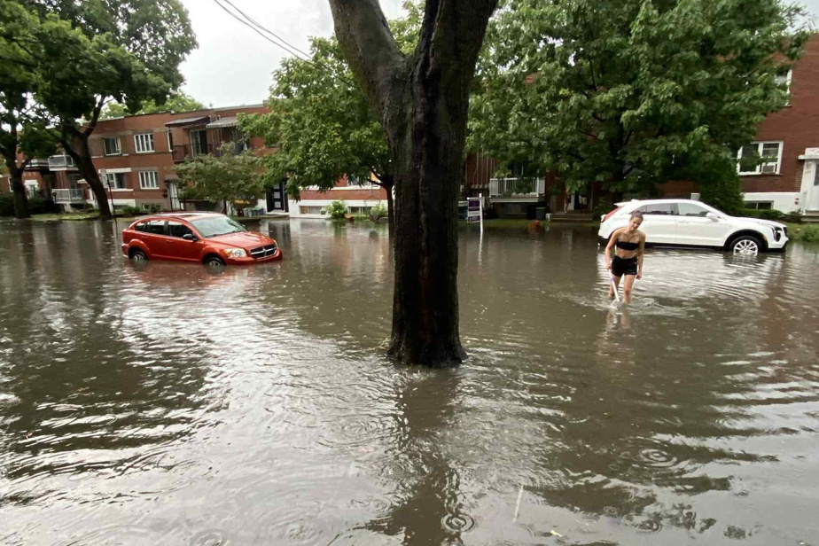 Inondations à Montréal | Des sinistrés ciblés par de faux avis municipaux