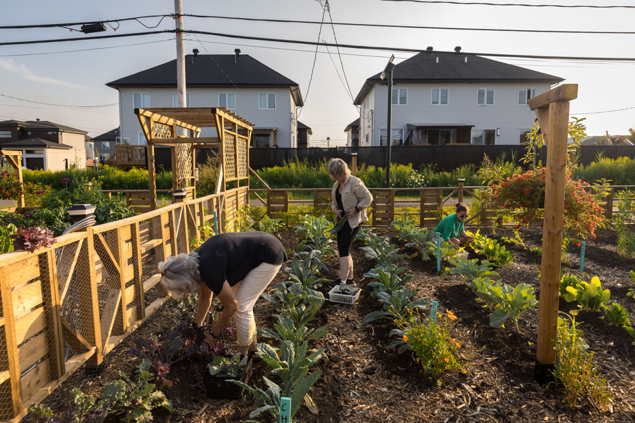 Planète bleue, idées vertes | Un jardin où poussent légumes et idées
