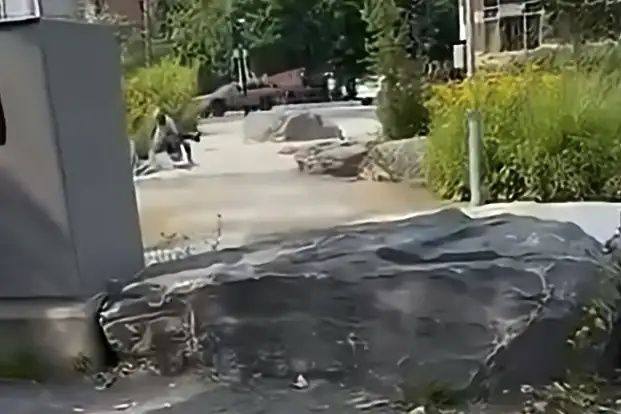 Agression d’un homme juif dans un parc | Un homme accusé de voie de fait