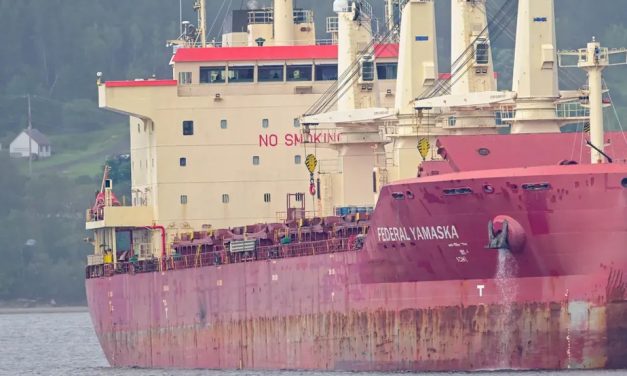 Fleuve Saint-Laurent | Un navire-cargo s’échoue près de Verchères