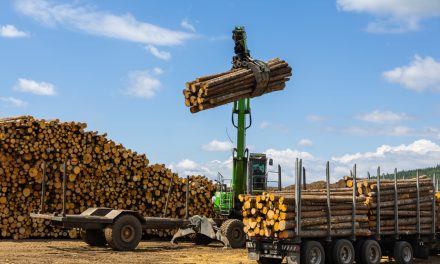 Guerre commerciale | Mark Carney annonce des mesures de soutien à l’industrie forestière