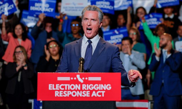 Décryptage | Gavin Newsom, le bagarreur de Californie