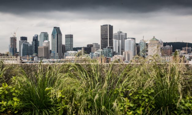 De l'Outaouais au Saguenay | Veille d’orages violents mercredi
