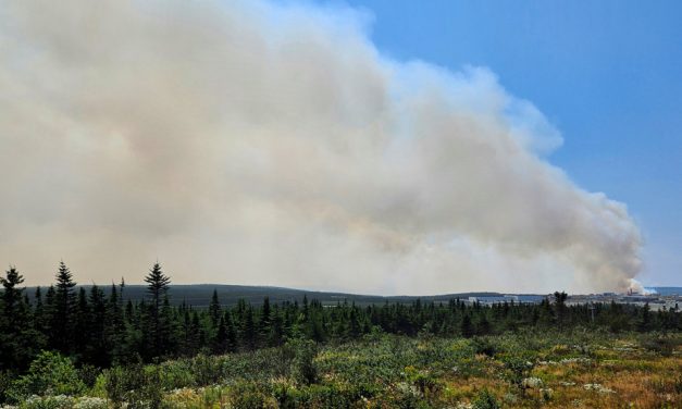 Les incendies restent stables à Terre-Neuve, préparation d’évacuation au Nouveau-Brunswick