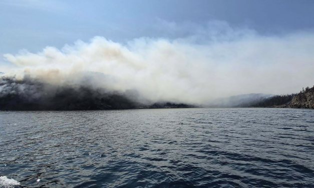 Les incendies de forêt font rage à Terre-Neuve et au Nouveau-Brunswick