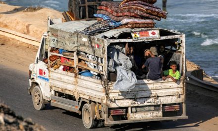 L’évacuation en masse de la ville de Gaza est « impossible », juge la Croix-Rouge