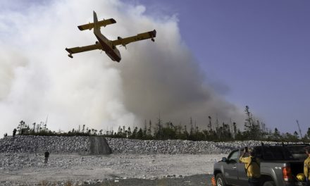 Nouvelle-Écosse | L’incendie de forêt qui a ravagé une banlieue d’Halifax était d’origine humaine