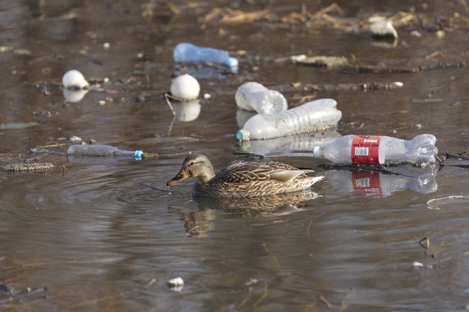 Pollution plastique | Le Canada préfère ne pas avoir de traité plutôt qu’en avoir un mauvais