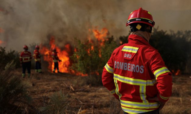 Péninsule ibérique, Italie et Balkans | Les incendies font rage en Europe
